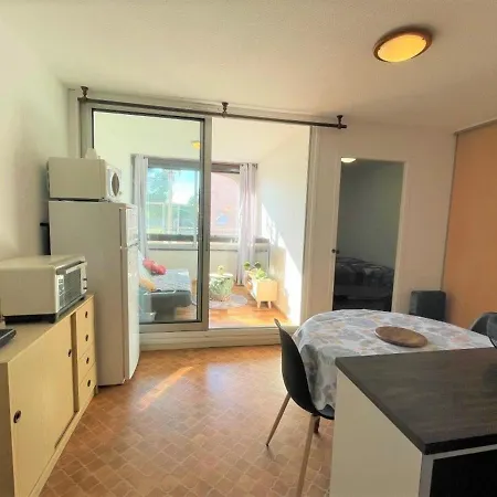 2p Avec Loggia Fermee, Proche A St-cyprien - Fr-1-225d-131 *